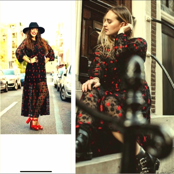 🌹NWT Zara Oversized Dress W Floral Embroidery🌹 - Picture 11 of 16